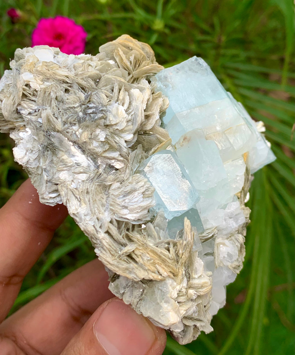 312 Grams Natural Blue Aquamarine Terminated Crystal Specimen on Muscovite Mica Matrix