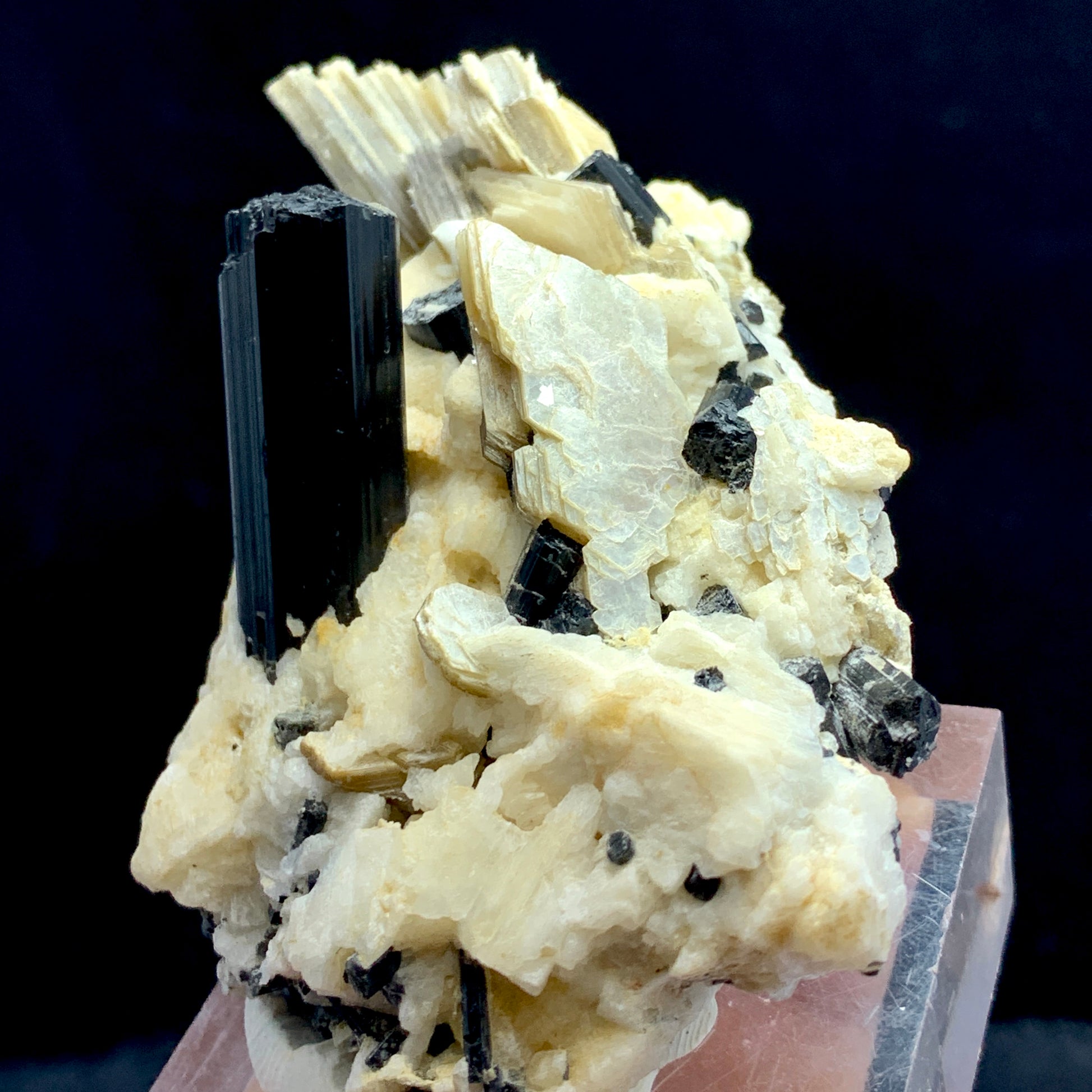 Black Tourmaline Schorl Crystal Cluster on Matrix | Pakistan Mineral Specimen