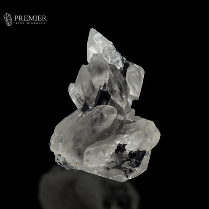 Black Tourmaline in Quartz Cluster - Pakistan