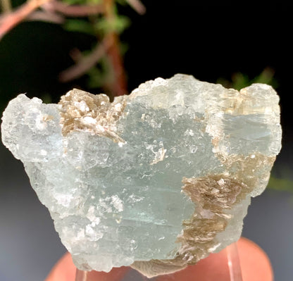36g Natural Etched Aquamarine Crystal on Muscovite Mica Matrix from Pakistan