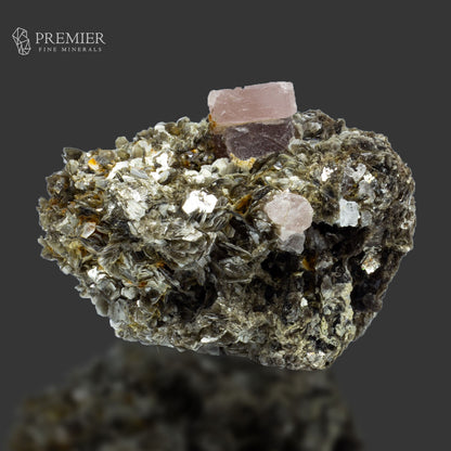 Pink Apatite Crystal on Muscovite - Pakistan