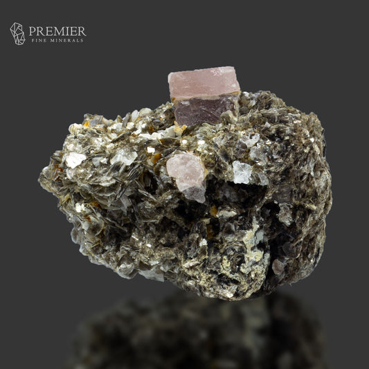Pink Apatite Crystal on Muscovite - Pakistan