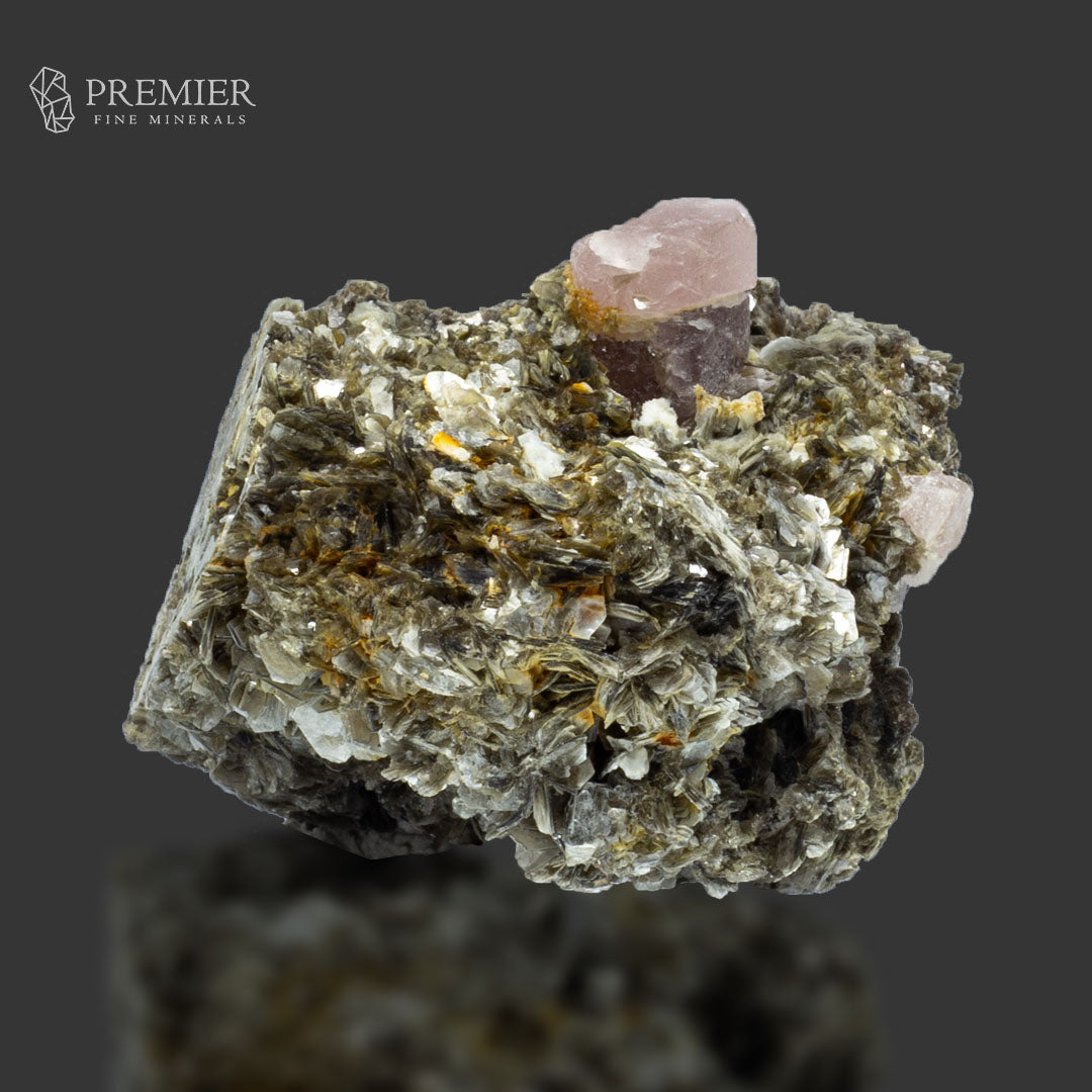 Pink Apatite Crystal on Muscovite - Pakistan