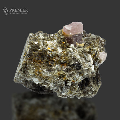 Pink Apatite Crystal on Muscovite - Pakistan