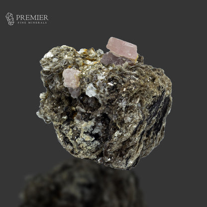 Pink Apatite Crystal on Muscovite - Pakistan