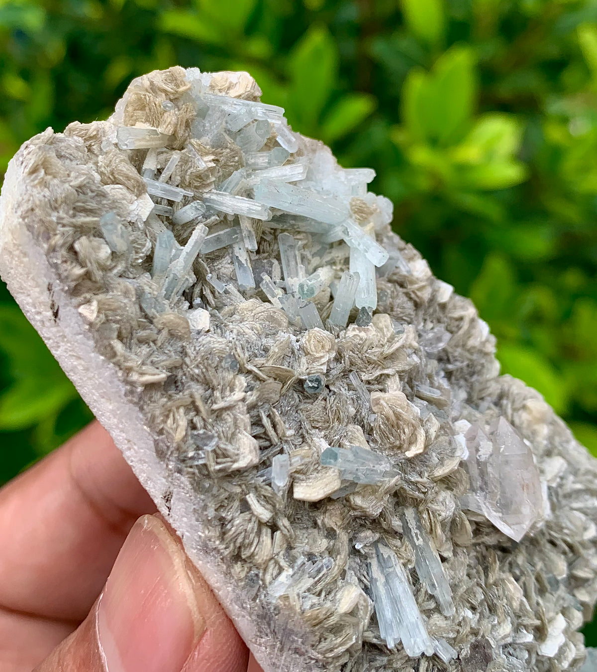 116 Grams Natural Aquamarine Terminated Cluster of Crystal with Gwindel Quartz Crystal on Muscovite Mica Matrix From Pakistan