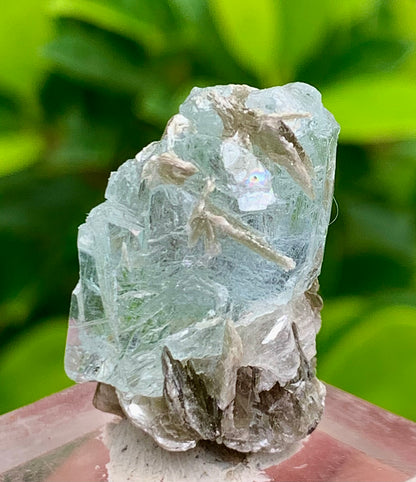 7 Grams Natural Etched Blue Aquamarine Terminated Crystal Specimen on Muscovite Mica Matrix From Pakistan