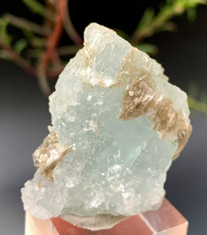 36g Natural Etched Aquamarine Crystal on Muscovite Mica Matrix from Pakistan