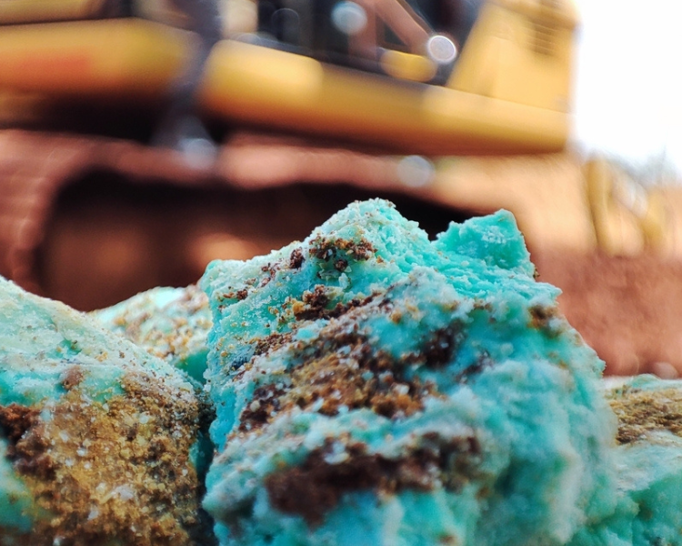 Exceptional Quality, Authentically Sourced