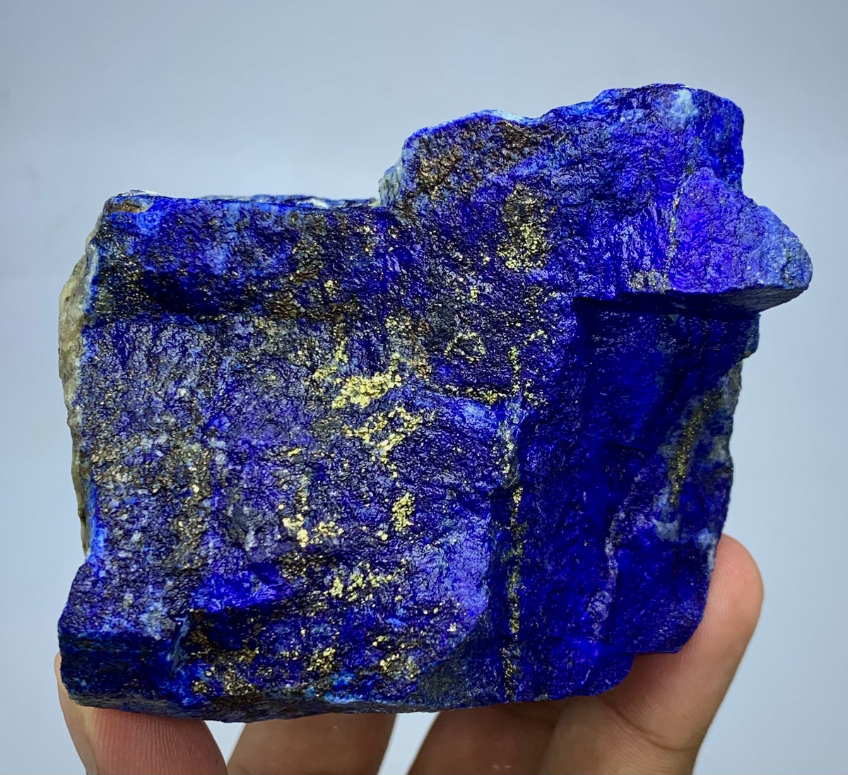 Detail shot of Lazurite blue coloring on rough boulder
1kg Lapis Lazuli specimen with scale reference