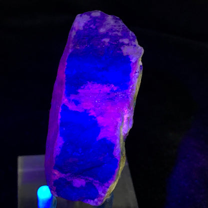 Lapis Lazuli, Rough Specimen, Fluorescent, UV Reactive, , Afghanistan, Mine 4, Blue Stone, Pyrite, Lapidary Rough, Raw Mineral, Third Eye Chakra