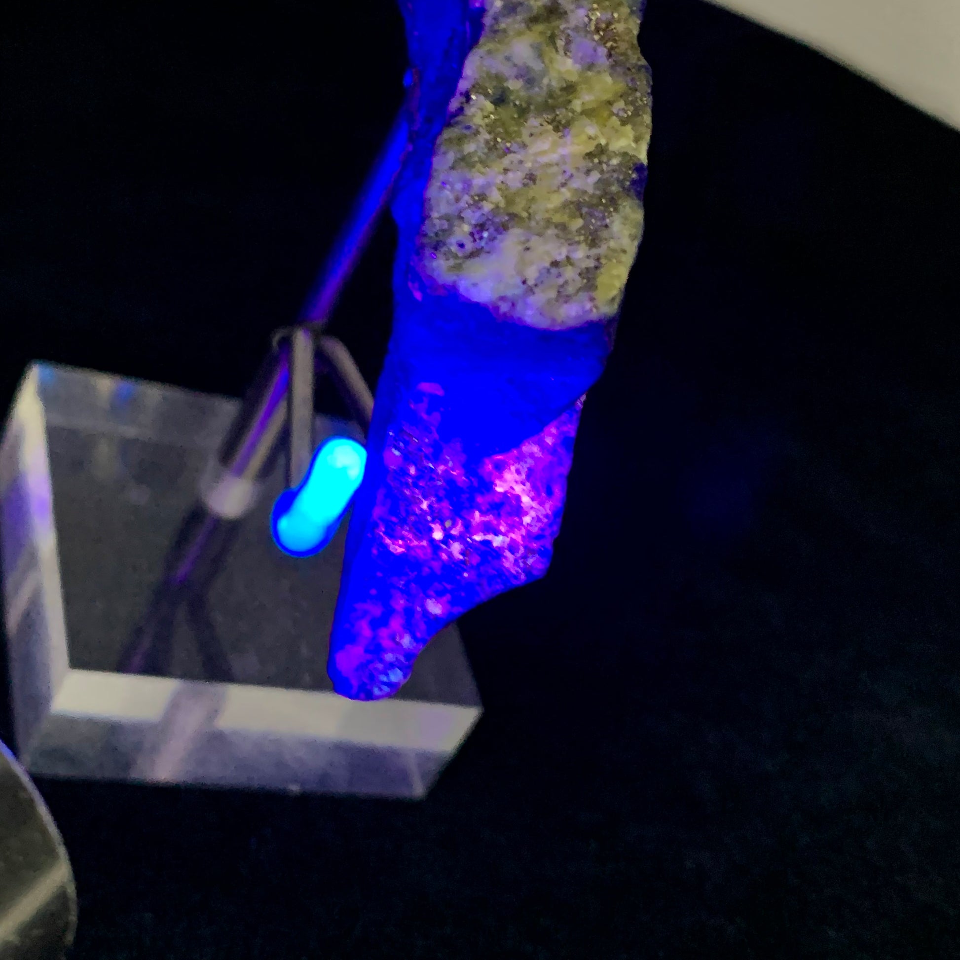 Lapis Lazuli, Rough Specimen, Fluorescent, UV Reactive, 48.6 Grams, 243 Carats, Afghanistan, Mine 4, Blue Stone, Pyrite, Lapidary Rough, Raw Mineral, Third Eye Chakra