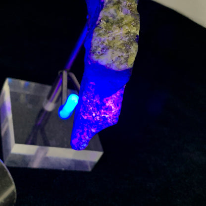 Lapis Lazuli, Rough Specimen, Fluorescent, UV Reactive, 48.6 Grams, 243 Carats, Afghanistan, Mine 4, Blue Stone, Pyrite, Lapidary Rough, Raw Mineral, Third Eye Chakra