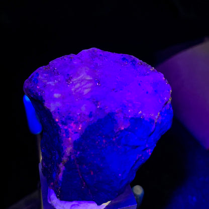 Lapis Lazuli, Afghanistan, Fluorescent, UV Reactive, Lazurite, 32 Grams, 160 Carats, Mine 4, Blue Stone, Calcite, Pyrite, Third Eye Chakra, Collector Mineral