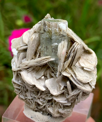 21g Natural Blue Aquamarine Crystal on Muscovite Mica Matrix from Pakistan