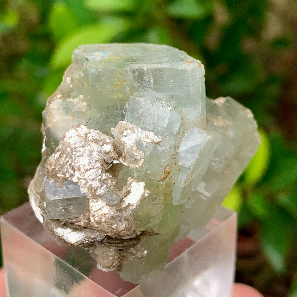 50 Grams Natural Blue Aquamarine Terminated Bunches of Crystal with Muscovite Mica from Pakistan
