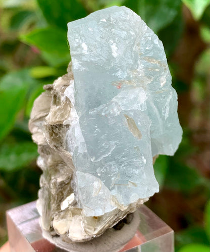 46 Grams Natural Etched Aquamarine Crystal on Muscovite Mica Matrix from Pakistan