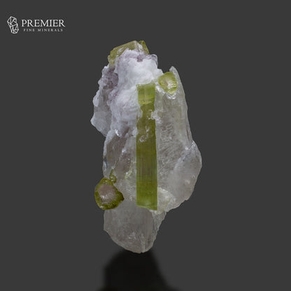 Natural Watermelon Tourmaline Crystal on Quartz – Afghanistan