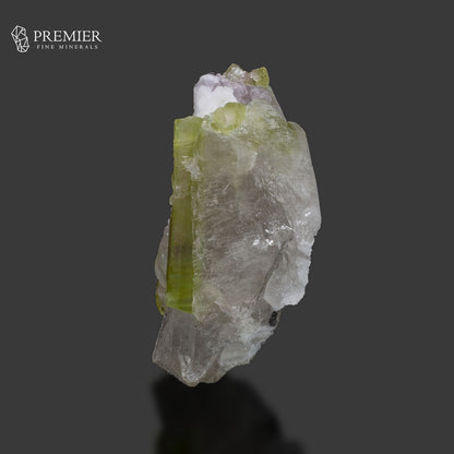 Natural Watermelon Tourmaline Crystal on Quartz – Afghanistan