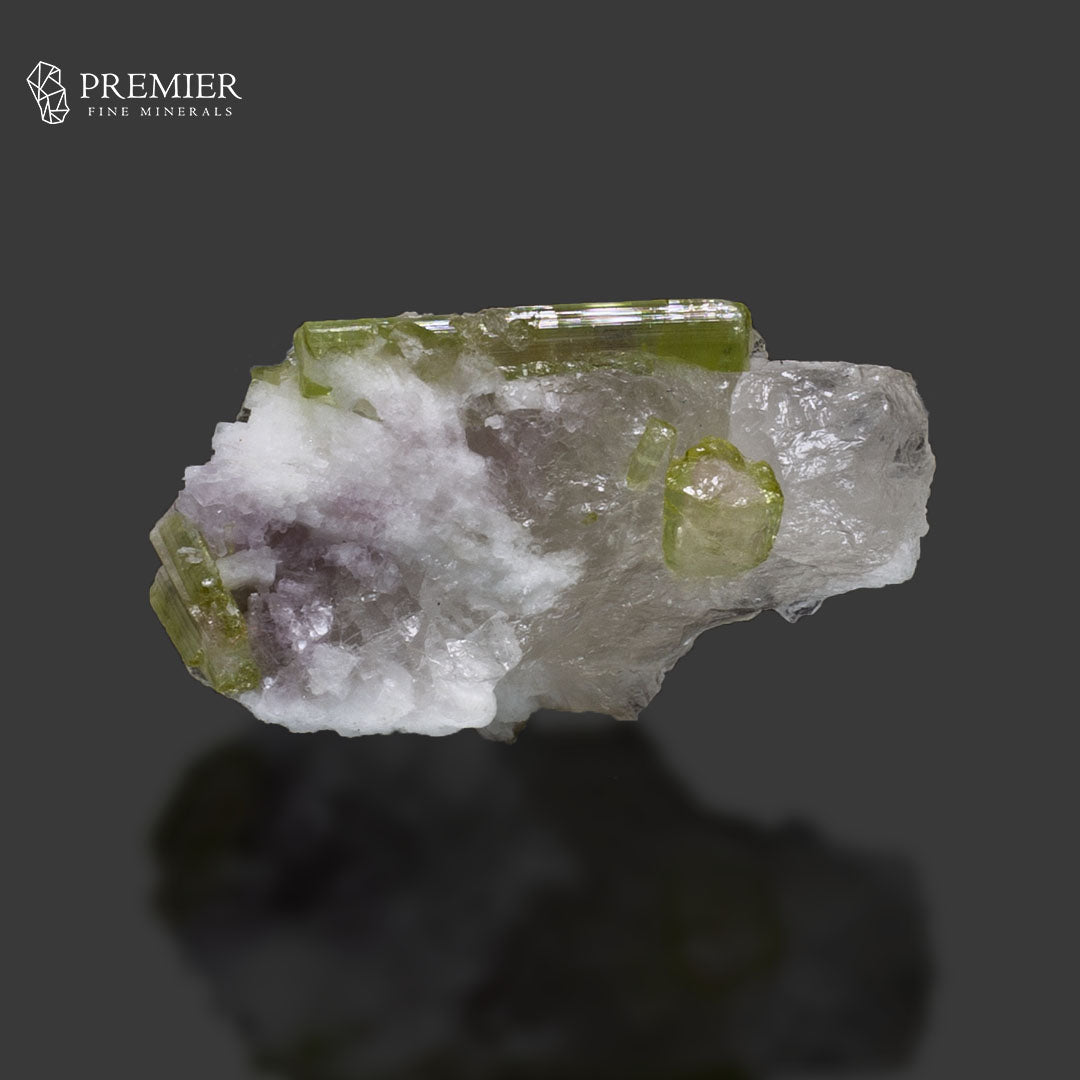 Natural Watermelon Tourmaline Crystal on Quartz – Afghanistan