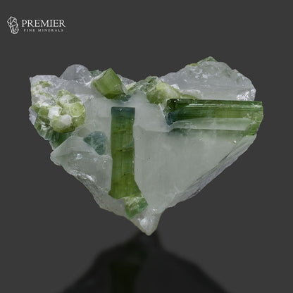 Blue-Green Tourmaline Crystal on Quartz – Afghanistan