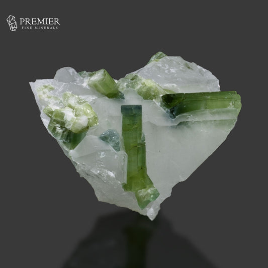 Blue-Green Tourmaline Crystal on Quartz – Afghanistan