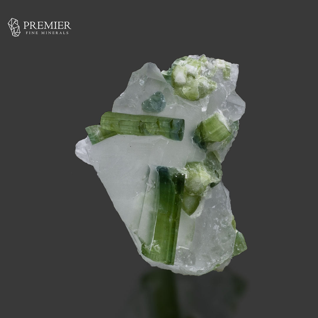 Blue-Green Tourmaline Crystal on Quartz – Afghanistan