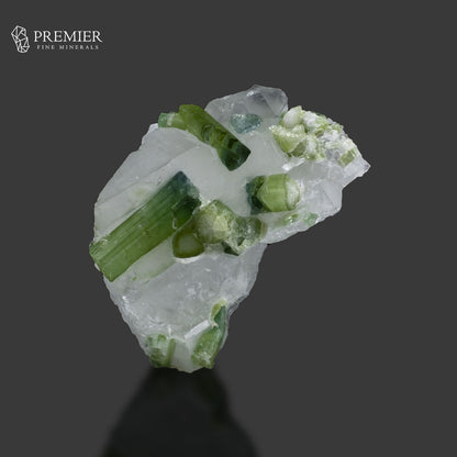 Blue-Green Tourmaline Crystal on Quartz – Afghanistan
