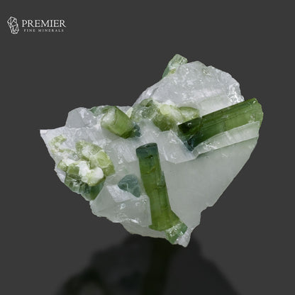 Blue-Green Tourmaline Crystal on Quartz – Afghanistan