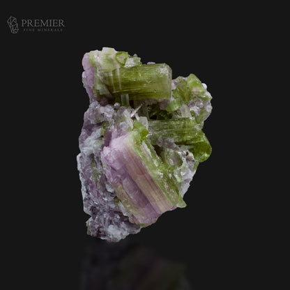 Natural Watermelon Tourmaline Cluster on Matrix – Afghanistan