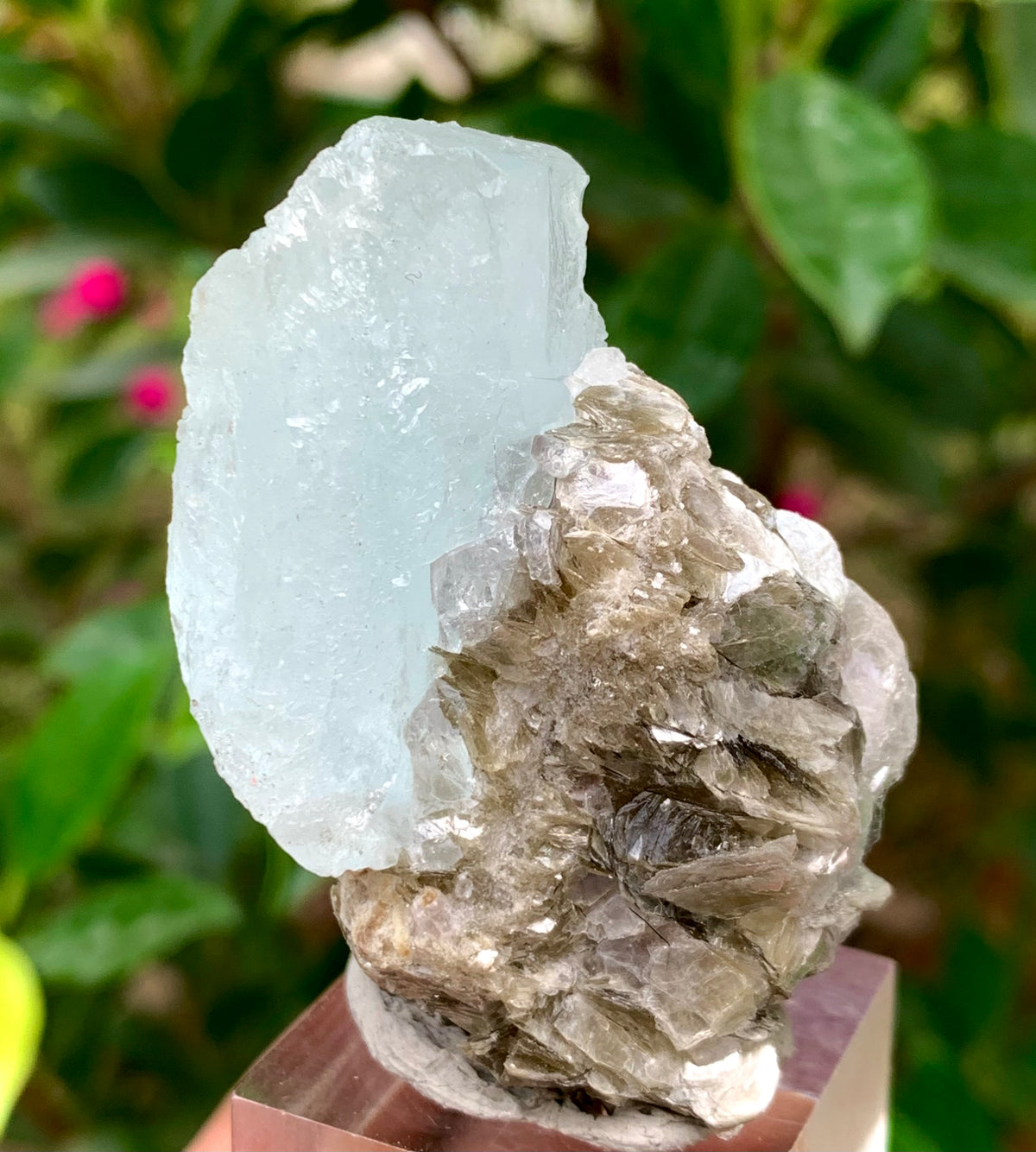 46 Grams Natural Etched Aquamarine Crystal on Muscovite Mica Matrix from Pakistan