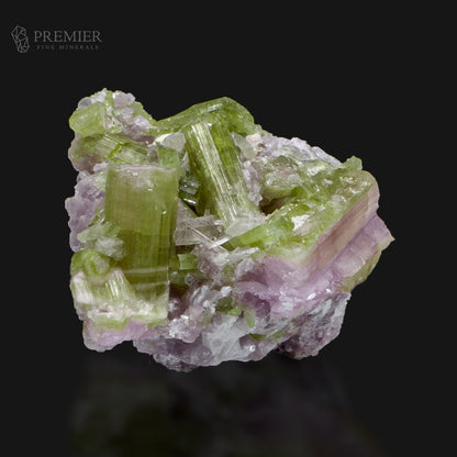 Natural Watermelon Tourmaline Cluster on Matrix – Afghanistan