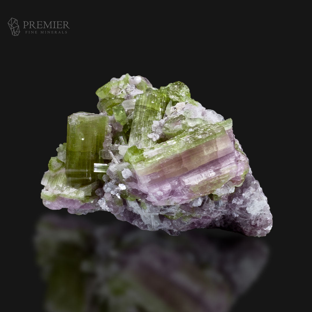Natural Watermelon Tourmaline Cluster on Matrix – Afghanistan
