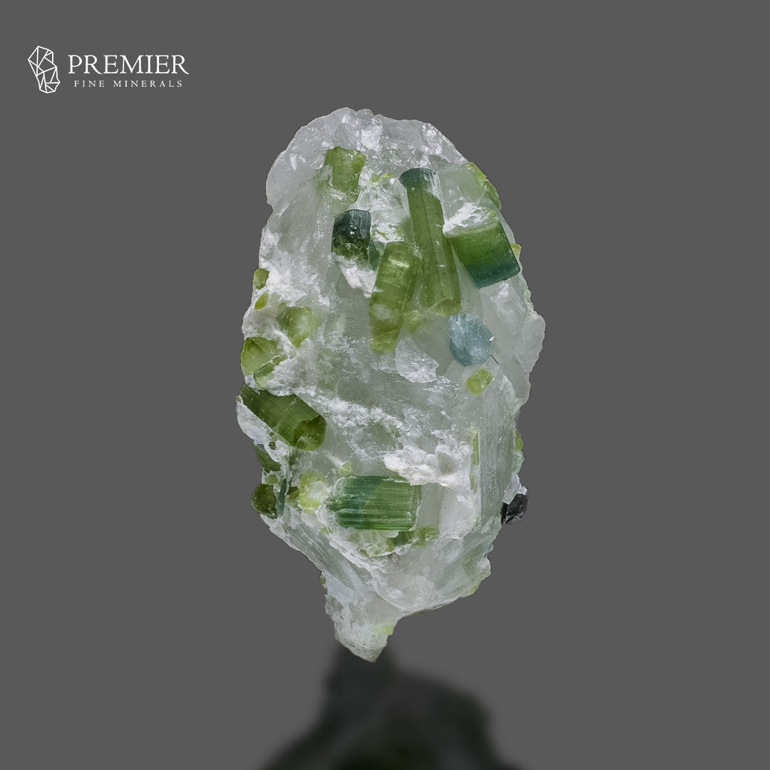 Blue-Green Tourmaline Crystal on Quartz Matrix – Afghanistan