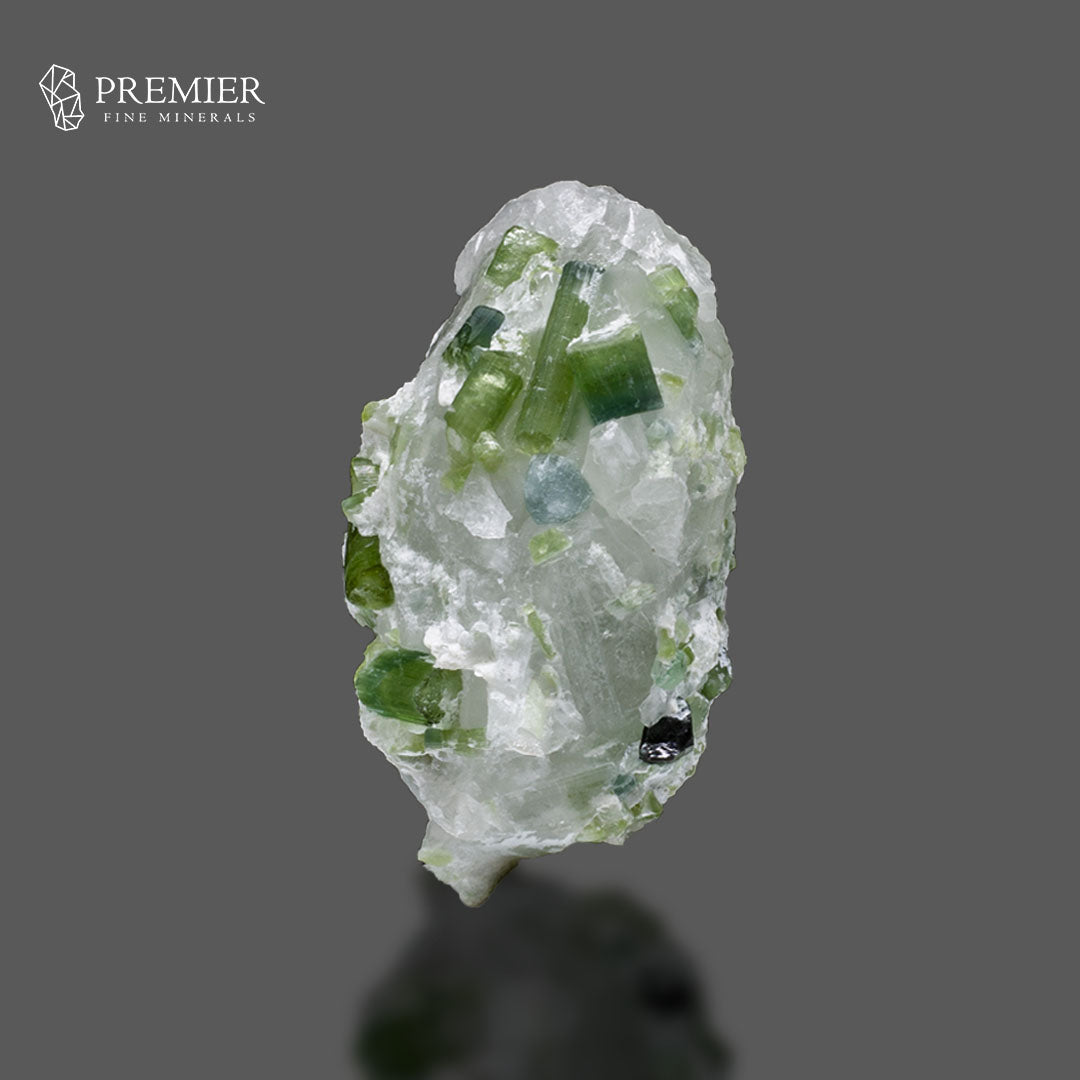 Blue-Green Tourmaline Crystal on Quartz Matrix – Afghanistan