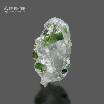 Blue-Green Tourmaline Crystal on Quartz Matrix – Afghanistan