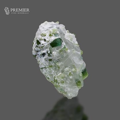 Blue-Green Tourmaline Crystal on Quartz Matrix – Afghanistan