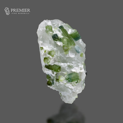 Blue-Green Tourmaline Crystal on Quartz Matrix – Afghanistan
