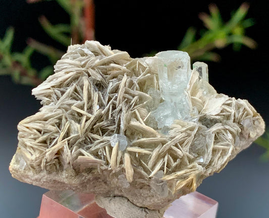44 Grams Natural Blue Aquamarine Terminated Crystal with Muscovite Mica Matrix from Skardu Pakistan