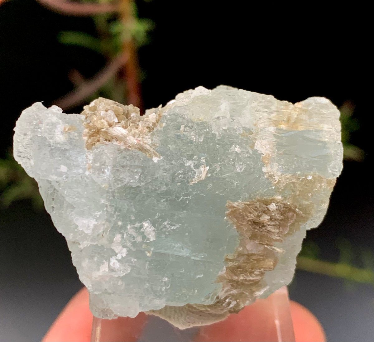 36g Natural Etched Aquamarine Crystal on Muscovite Mica Matrix from Pakistan