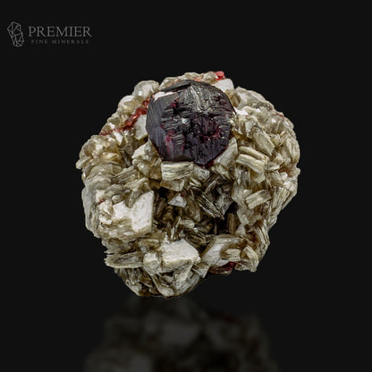 Etched Red Garnet Crystal on Muscovite Mica Matrix – Skardu Pakistan