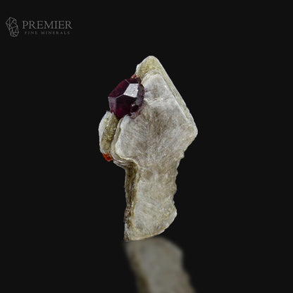 Rhodolite Garnet Crystal on Muscovite Mica – Rare Skardu Pakistan