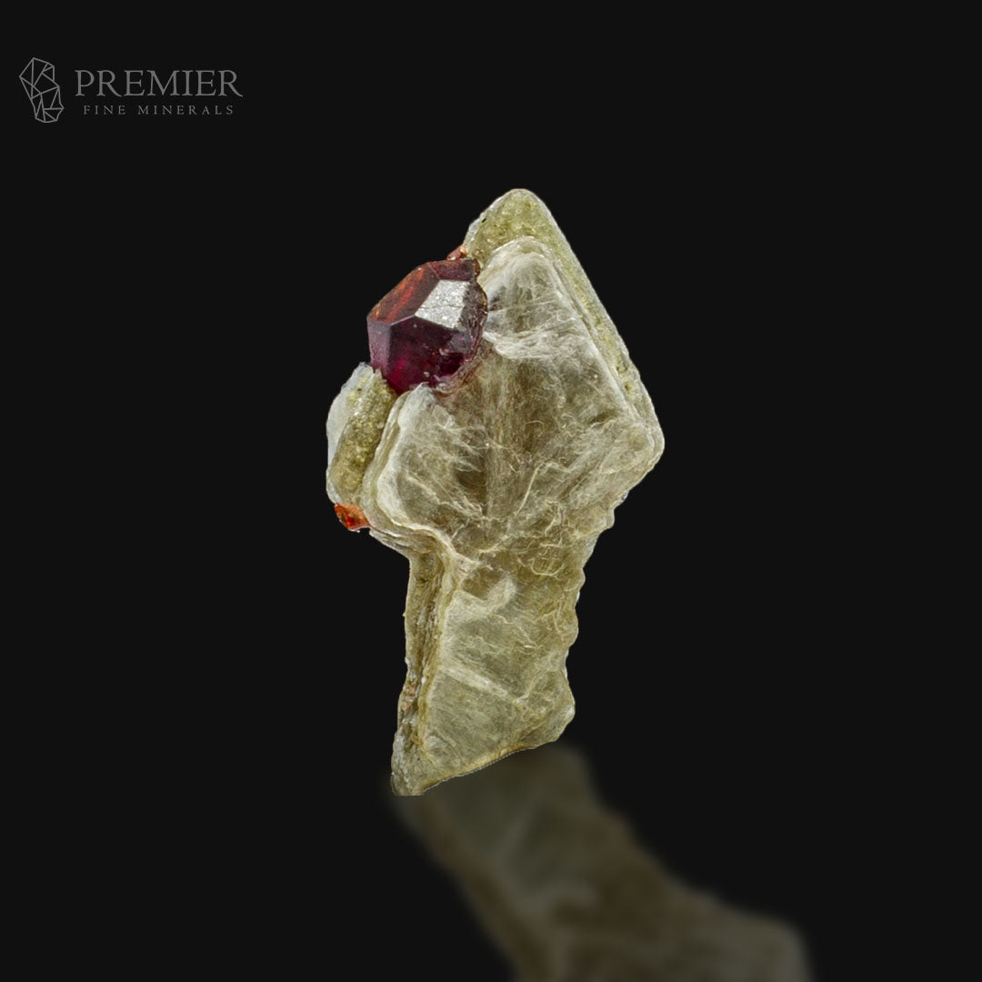 Rhodolite Garnet Crystal on Muscovite Mica – Rare Skardu Pakistan