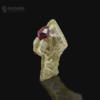 Rhodolite Garnet Crystal on Muscovite Mica – Rare Skardu Pakistan