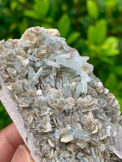 116 Grams Natural Aquamarine Terminated Cluster of Crystal with Gwindel Quartz Crystal on Muscovite Mica Matrix From Pakistan