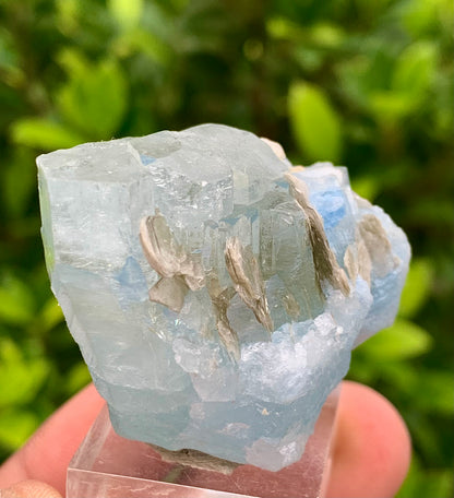 40 Grams Natural Blue Aquamarine Terminated Crystal Specimen on Muscovite Mica Matrix From Pakistan