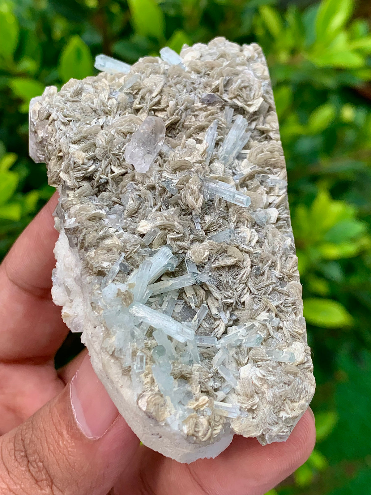 116 Grams Natural Aquamarine Terminated Cluster of Crystal with Gwindel Quartz Crystal on Muscovite Mica Matrix From Pakistan