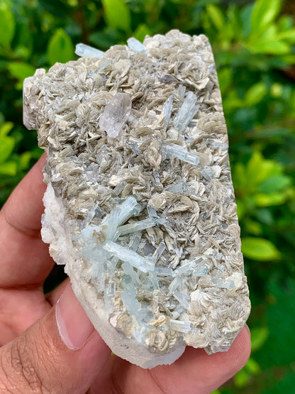 116 Grams Natural Aquamarine Terminated Cluster of Crystal with Gwindel Quartz Crystal on Muscovite Mica Matrix From Pakistan