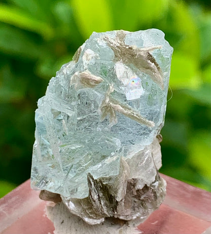 7 Grams Natural Etched Blue Aquamarine Terminated Crystal Specimen on Muscovite Mica Matrix From Pakistan