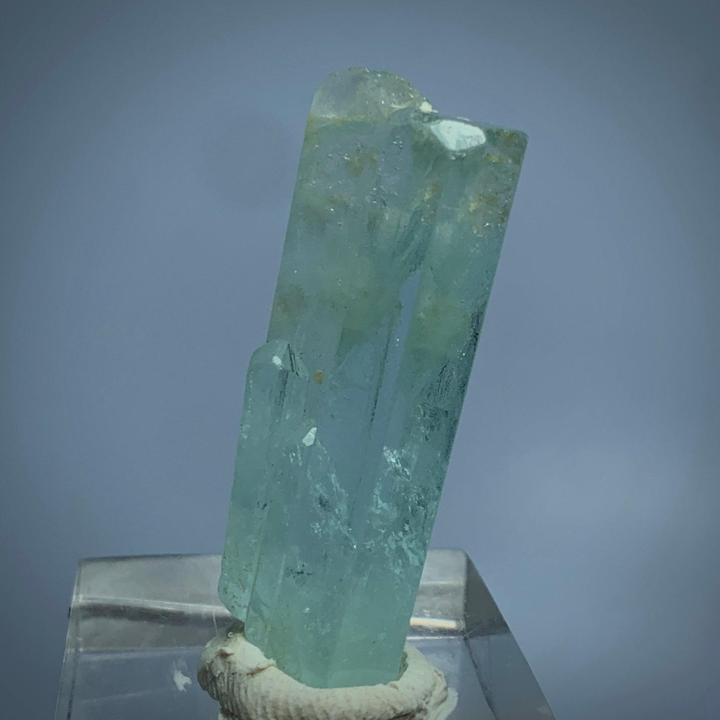 Aquamarine Crystal, Apatite, , Mineral Association, Beryl Crystal, Collector Specimen, Aesthetic Cluster, Miniature Specimen, Crystal Dimensions, Natural Specimen